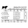 Image 1 : Redland Do It All 1521