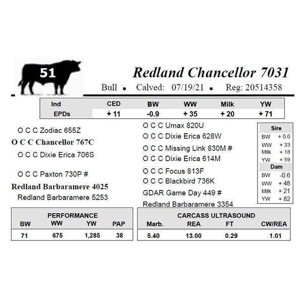 Redland Chancellor 7031