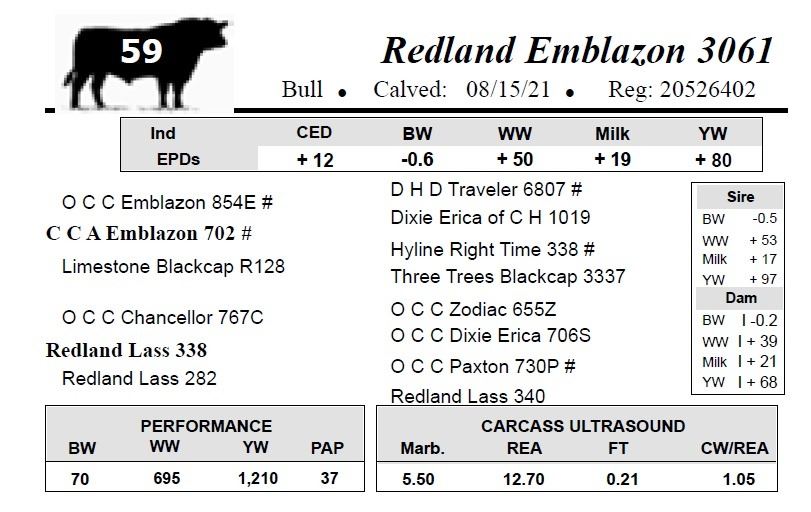 Emblazonedge Redland Emblazon 3061