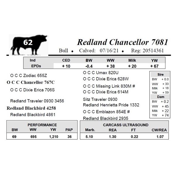 Redland Chancellor 7081