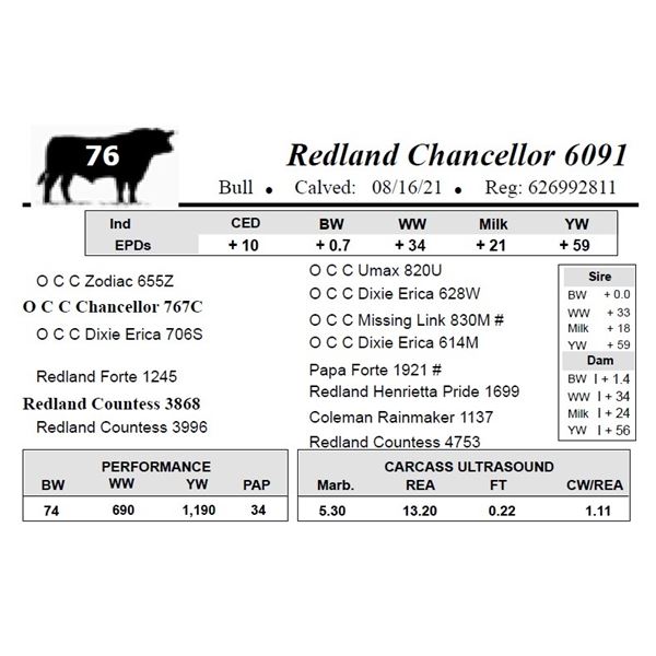 Redland Chancellor 6091