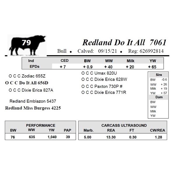 Redland Do It All 7061