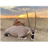 Image 1 : Trophy Oryx hunt for 2 hunters - Kowas Adventure Safaris