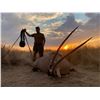 Image 2 : Trophy Oryx hunt for 2 hunters - Kowas Adventure Safaris