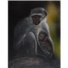 Image 1 : Safe (Vervet Monkeys) - Linda Kukuk Painting