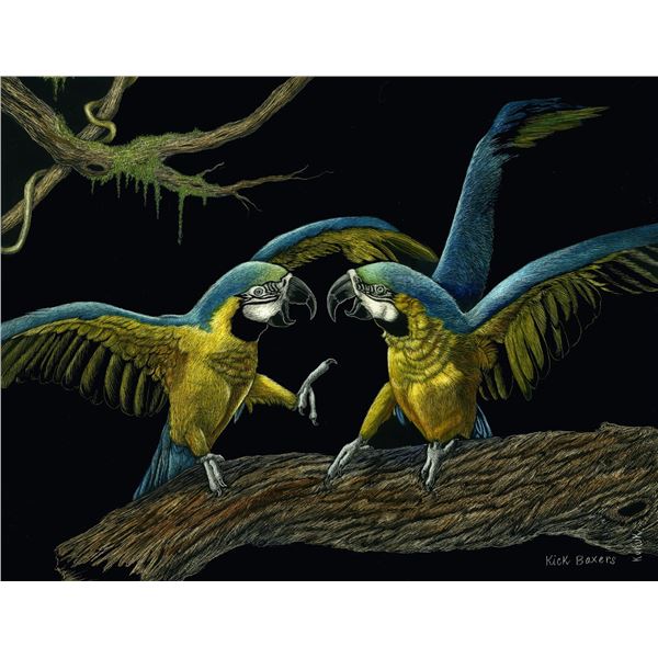 Kick Boxers (Macaws) - Linda Kukuk Painting