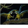 Image 1 : Kick Boxers (Macaws) - Linda Kukuk Painting