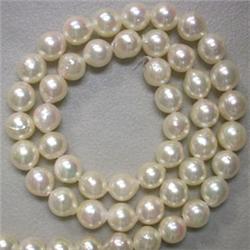 7.5-7 MM JAPANESE AKOYA PEARL STRAND - 16 INCHES