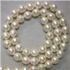 Image 1 : 7.5-7 MM JAPANESE AKOYA PEARL STRAND - 16 INCHES
