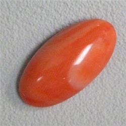 9.80 CTS OVAL NATURAL ITALIAN CORAL CABOCHON 22x12 MM