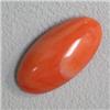 Image 1 : 9.80 CTS OVAL NATURAL ITALIAN CORAL CABOCHON 22x12 MM