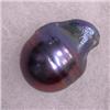 Image 1 : 16x11 MM BLACK TAHITIAN PEARL - FULL DRILLED