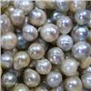 Image 1 : 5X7 MM 100 AKOYA PEARLS PARCEL - UNDRILLED 