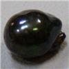 Image 1 : 16x13 MM TAHITIAN PEARL - FULL DRILLED