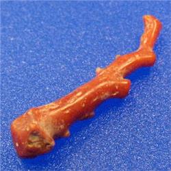 19 CTS NATURAL ITALIAN CORAL BRANCH 50x10 MM