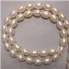 Image 1 : 8-7.5 MM FRESHWATER PEARL STRAND 16 INCHES