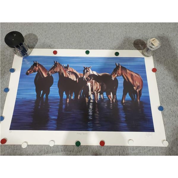 Equine Poster