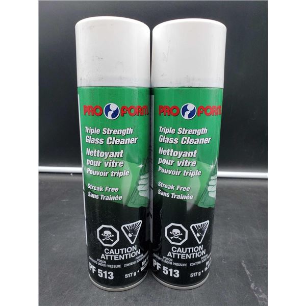 Pro Form Triple Strength Glass Cleaner (2 x 517g)