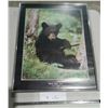 Image 1 : Black Bear Club - Framed Print