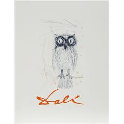 Salvador Dali, Owl, Poster