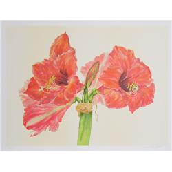 Carol Ann Bolt, Amaryllis, Lithograph