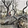 Image 1 : Cast-and-Blast South African Safari for 2 Hunters