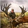 Image 2 : Argentina Trophy Red Stag