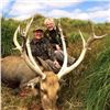 Image 8 : Argentina Trophy Red Stag