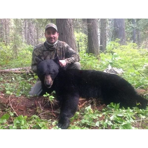 Idaho Black Bear Hunt