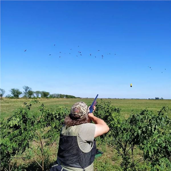 Argentina Unlimited Dove Hunting for 4