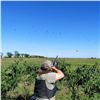 Image 1 : Argentina Unlimited Dove Hunting for 4