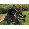 Image 3 : Kentucky Whitetail Archery Hunt for Two Hunters, 8 Deer Included
