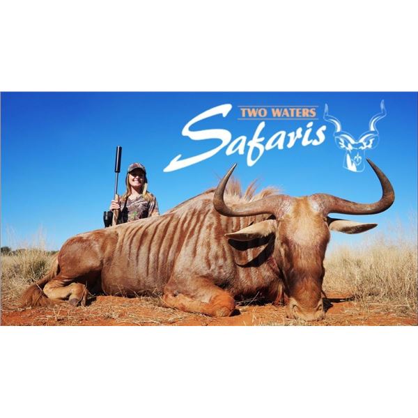 South African Safari for Two Hunters, Including 4 Trophies