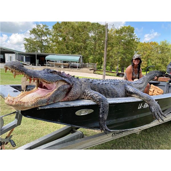 Louisiana Alligator Hunt for Two