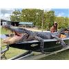 Image 1 : Louisiana Alligator Hunt for Two