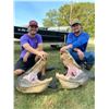 Image 2 : Louisiana Alligator Hunt for Two