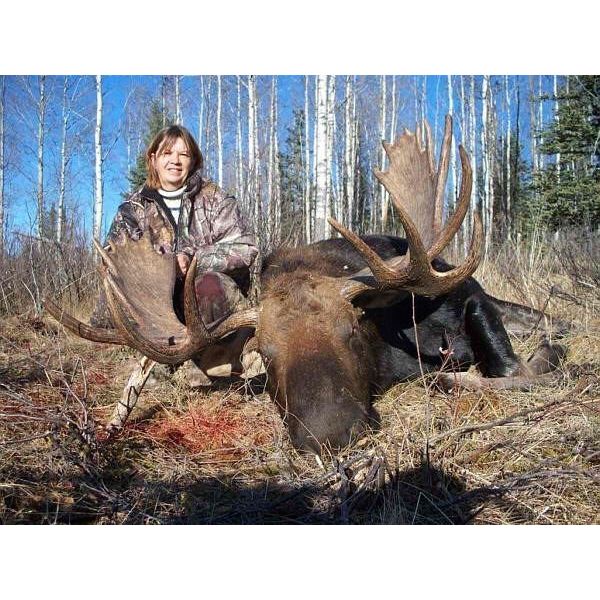 Canadian Moose Hunt in Alberta