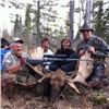 Image 2 : Canadian Moose Hunt in Alberta
