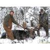 Image 3 : Canadian Moose Hunt in Alberta