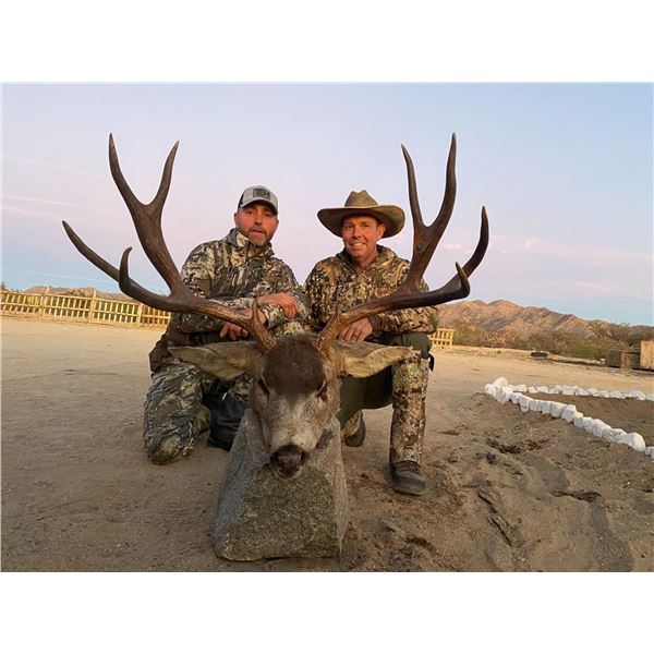 Sonora Mexico Mule Deer Hunt