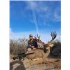 Image 3 : Sonora Mexico Mule Deer Hunt