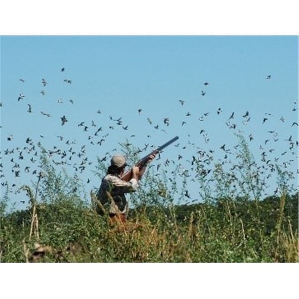 Texas Dove and Predator Hunt Plus Exotics