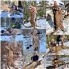 Image 2 : Utah Mountain Lion Hunt
