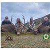 Image 3 : 4-Day Ireland Sika Deer Hunt