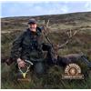 Image 6 : 4-Day Ireland Sika Deer Hunt