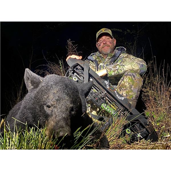 North Carolina Black Bear Hunt