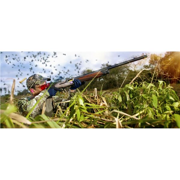 Argentina High-Volume Dove Hunting for 4 Hunters