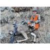 Image 2 : Utah Doe Deer Hunting Packages for Youth and Disabled Hunter
