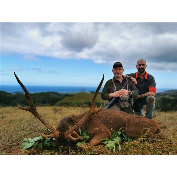 Mauritius Rusa Deer Hunt