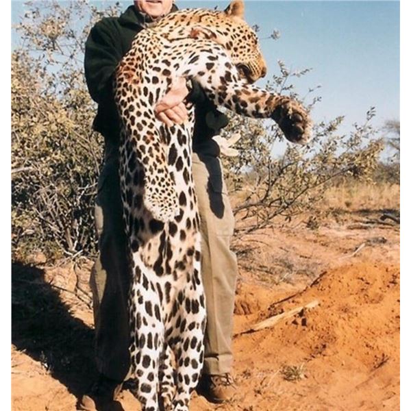 Mozambique Leopard Hunt Plus Spotted and Brown Hyenas